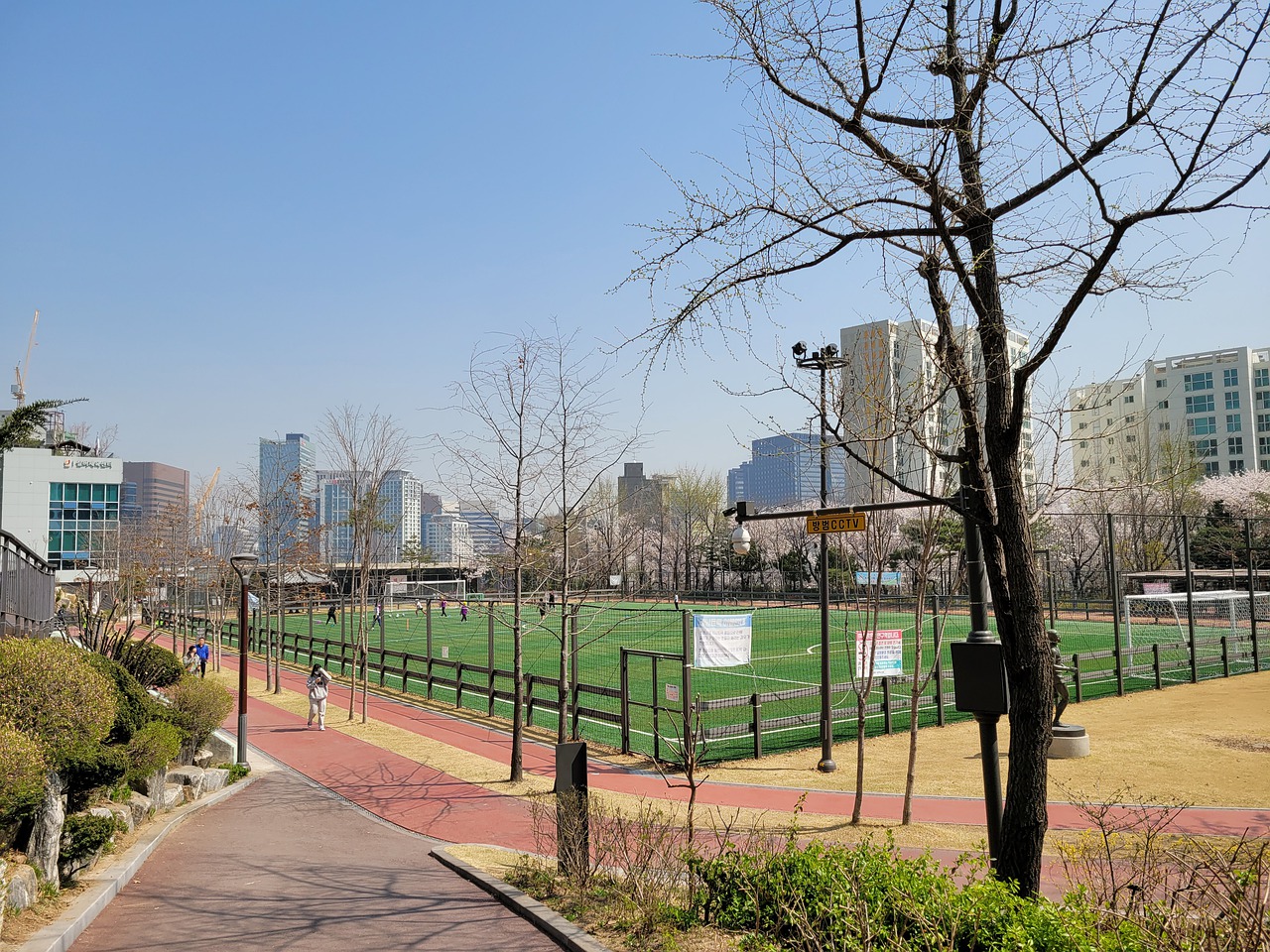 罗西奇正是 罗西奇正是