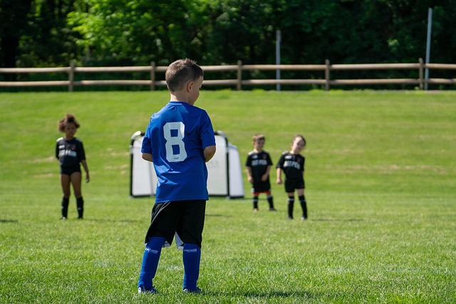 凭借莱万的 凭借莱万的