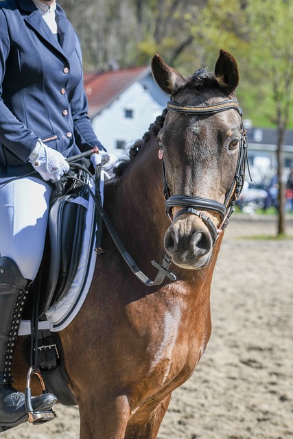 很多人對於 很多人對於