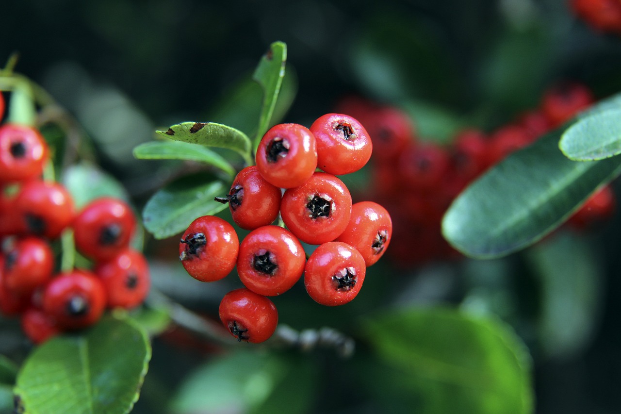 浓眉很早就来到湖人主场进行投篮训练，不过今天AD因伤无法出战老东家的比赛.