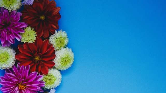 上海-3℃，飙温冲23℃！更绝望的在后头…网友气笑：不是过山车，是跳楼机.